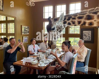 Breakfast at Giraffe Manor, Nairobi, Kenya Stock Photo