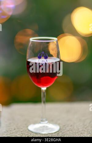 Branded glass of red wine on display during Yerevan Wine Days Festival in Yerevan, Armenia, with soft bokeh lights in the background. Stock Photo