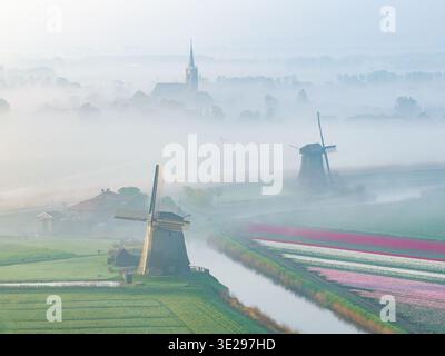 Aerial view of windmills and a church spire piercing through the morning mist over vibrant tulip fields, Schermerhorn, Noord-Holland, Netherlands. Stock Photo