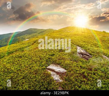 mountain landscape during summer at sunset. alpine meadows on green slopes and hills in evening light. amazing adventure scenery under rainbow. explor Stock Photo