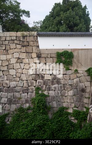 Stone castle wall with creeping ivy and traditional white plaster roofline against trees Stock Photo