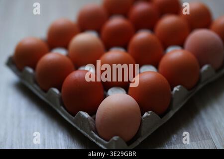 Pattern of chicken eggs in carton tray. Minimal food background and grocery concept. Stock Photo