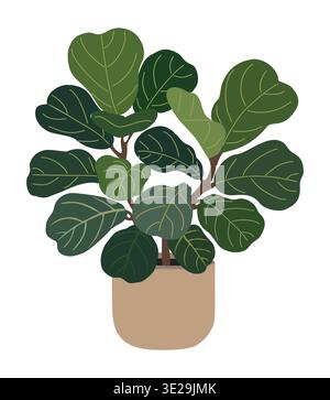 Fiddle leaf fig plant in minimalist vase Stock Vector