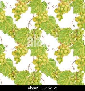 Watercolor seamless pattern of green grape bunches with leaves and curly tendrils isolated on white. Perfect for kitchen textiles, juice packaging, wi Stock Photo