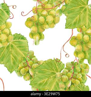 Watercolor seamless pattern of green grape bunches with leaves and curly tendrils isolated on white. Perfect for kitchen textiles, juice packaging, wi Stock Photo