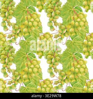 Watercolor seamless pattern of green grape bunches with leaves and curly tendrils isolated on white. Perfect for kitchen textiles, juice packaging, wi Stock Photo