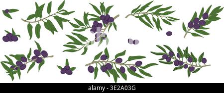 Black olive tree branch set with fruits, leaves. Vector illustration in retro cartoon flat style. Mediterranean food set of organic raw plants and can Stock Vector