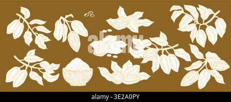 Cocoa fruits vector sketch collection. White outline Cacao powder, beans, branches and compostions for food chocolate and spicy design. Hand drawn vector illustration. Linear sketch of cacao. Stock Vector