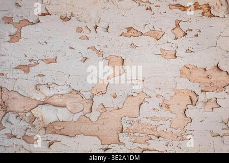 Colorful weathered wall surface with peeled paint, random scratches on concrete wall background. Grunge weathered distressed abstract texture. Nobody, Stock Photo