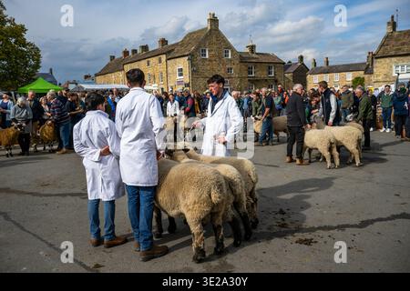 Oxford Down sheep being judged & shown stand by farmers (farm animals, ewes or rams, crowd) - busy Masham Sheep Fair, North Yorkshire, England, UK. Stock Photo
