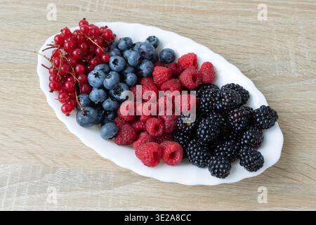 Fresh Berry Medley on a White Platter. The selection features red currants, blueberries, raspberries, and blackberries, artfully arranged on a light Stock Photo