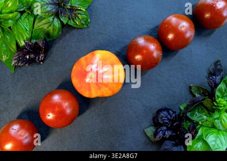 Fresh tomatoes with basil leaves on a dark background. A vibrant tomatoes is displayed alongside a row of dark and ripe tomatoes, framed by fresh Stock Photo