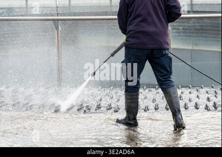 Person spraying strong stream of water to clean concrete floor and metal structures Stock Photo