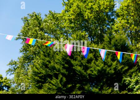 Colorful pride flags hanging against a vibrant green tree background. Stock Photo