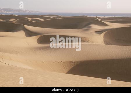 Golden sand dunes stretch endlessly near Maspalomas, Gran Canaria, capturing the beauty of a serene holiday destination. Soft winds create gentle waves across the landscape, inviting exploration. Stock Photo