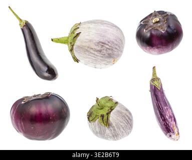 Various fresh eggplants isolated on white background Stock Photo