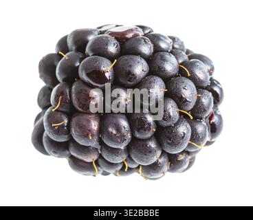 Ripe blackberry isolated on white background Stock Photo