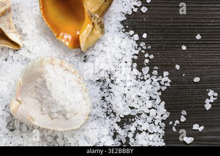 Top view of coarse grained Sea Salt and shells on dark brown wooden board Stock Photo