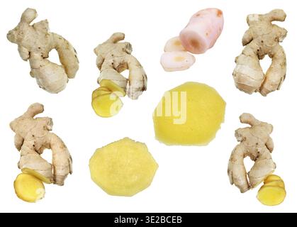Collage from fresh ginger roots and pickled galangal rhizome isolated on white background Stock Photo