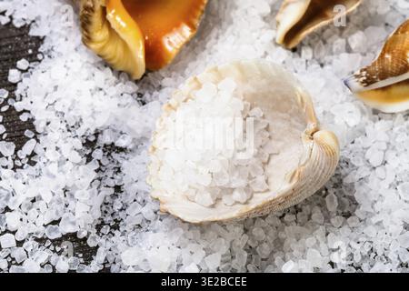 Seashell with coarse grained Sea Salt on dark brown wooden board Stock Photo