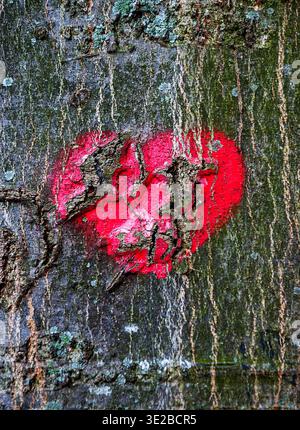 Red heart on cracked mossy tree bark. Symbol of true love - in sickness and in health, in good times and in bad, and in joy as well as in sorrow. Brok Stock Photo