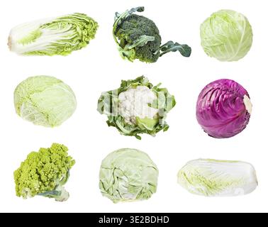 Various headed cabbages (romanesco, broccoli, cauliflower, white cabbage, red cabbage, napa cabbage, savoy cabbage) isolated on white background Stock Photo