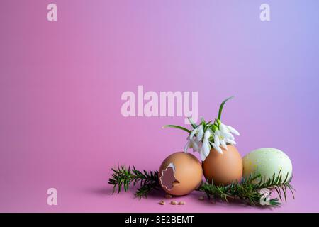 Easter and Ostara Composition with Eggs, Snowdrops and Pink Gradient Background Stock Photo