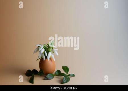 Spring Ostara Still Life with Snowdrops in Eggshell Vase and Copy Space Stock Photo