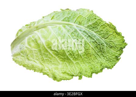 Green leaf of savoy cabbage isolated on white background Stock Photo