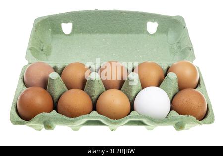 Ten chicken eggs (nine brown eggs and one white) in green cardboard container isolated on white background Stock Photo