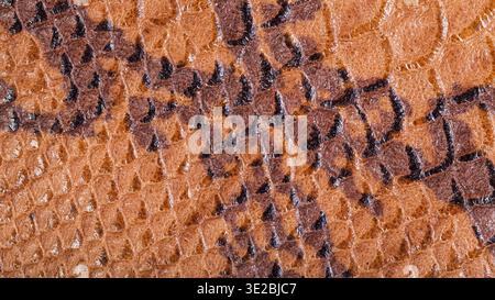 Textured panoramic background from snakeskin leather close up Stock Photo
