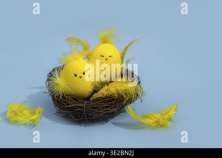 Cute yellow Easter eggs in the shape of chicks surrounded by feathers on a bright blue background. Easter greeating card Stock Photo
