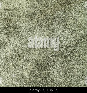 Textured square background from dark olive green suede close up Stock Photo