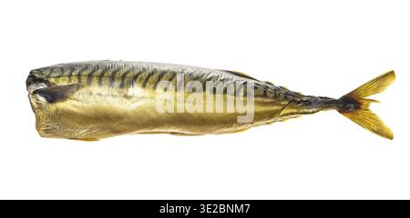 Cold-smoked headless mackerel isolated on white background Stock Photo