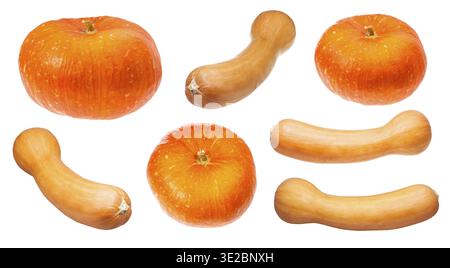 Various orange pumpkins isolated on white background Stock Photo