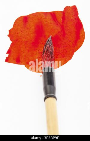 Red colored round goat hair tip of paintbrush for sumi-e (suibokuga) painting in red blot on white paper close up Stock Photo