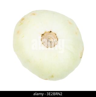 Pattypan white squash isolated on white background Stock Photo
