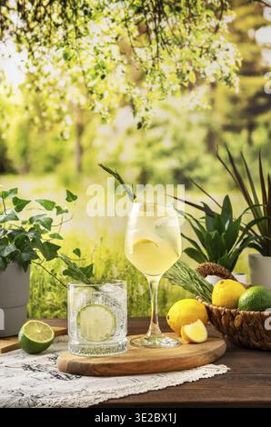 Two colorful summer cocktails on the table. Hard seltzer cocktails with various fruits: lime and lemon. Summer party table outdoor in a house backyard Stock Photo