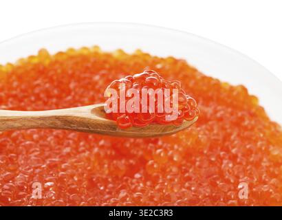 Little wooden spoon with salted russian red caviar of sockeye salmon fish over plastic container with red roe of pink salmon isolated on white backgro Stock Photo