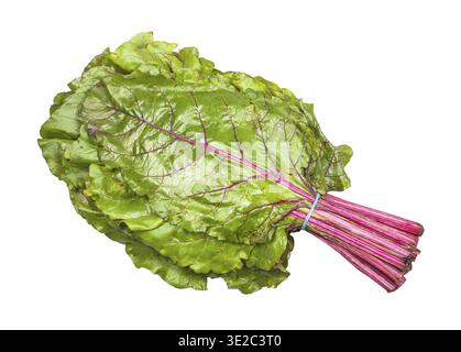 Bunch of wet beet greens isolated on white backgrounds Stock Photo