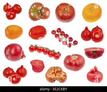Many various fresh tomatoes isolated on white background Stock Photo