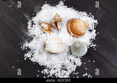 Top view of coarse grained Sea Salt and seashells on dark brown wooden board Stock Photo