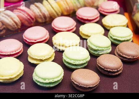 Rows of assorted french multicolored macaroons on table Stock Photo