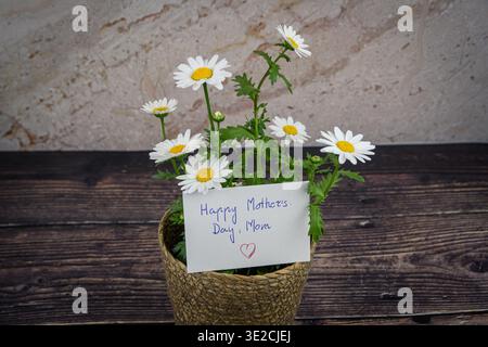 Close-up of white daisies and a handwritten Mother,s Day card in a woven pot on a dark wooden table, ideal for family, greeting and spring themes. Stock Photo
