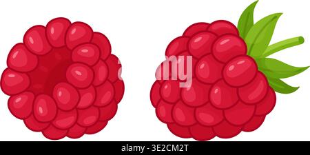Ripe red raspberries with green leaves. Hand drawn trendy flat style isolated. Fresh summer berry illustration ideal for food design, packaging, healthy menus, and summer designs. Vector illustration Stock Vector