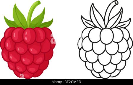 Raspberry illustration with color and outline version in flat vector style, isolated. Ideal for coloring pages, food design, packaging, labels and educational materials. Vector illustration Stock Vector