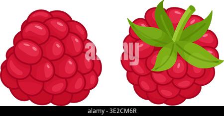 Ripe red raspberries with green leaves. Hand drawn trendy flat style isolated. Fresh summer berry illustration ideal for food design, packaging, healthy menus, and summer designs. Vector illustration Stock Vector