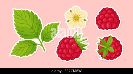 Raspberry sticker set with berries, leaves and flower. Hand drawn flat style isolated. Bright juicy berries for food design, menus, summer themes, kitchen decor, stickers, menus. Vector illustration Stock Vector