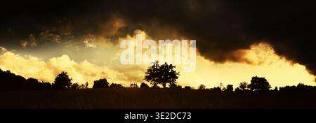 Silhouettes of trees on the horizon against a very dramatic yellow and dark sky. Rural panoramic landscape with high contrast. Stock Photo