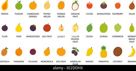 Tropical and exotic fruits icon set. Flat vector foods for kids, healthy , grocery and menu design Stock Vector